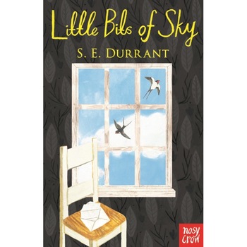 Little Bits of Sky de Sue Durrant Little Bits of Sky de Sue Durrant