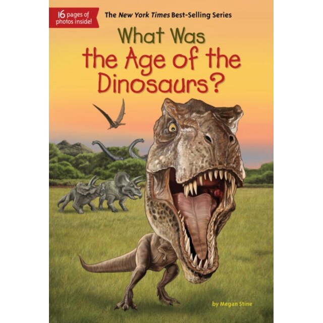 What Was the Age of the Dinosaurs? de Megan Stine