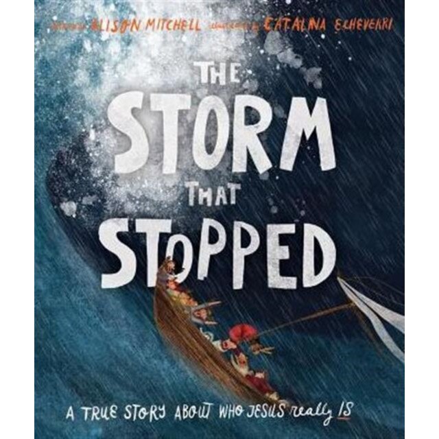 The Storm That Stopped de Alison Mitchell