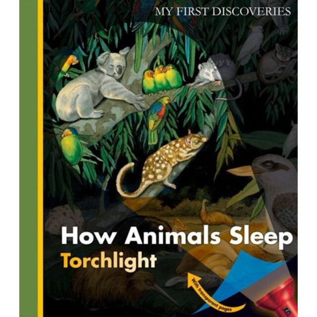 How Animals Sleep de Sylvaine Peyrols