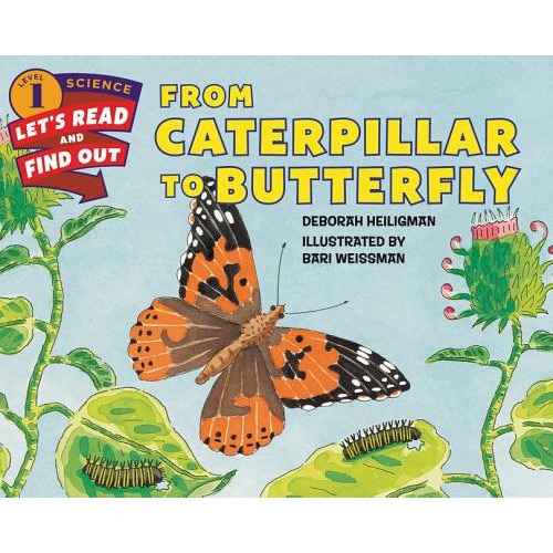 From Caterpillar to Butterfly de Deborah Heiligman
