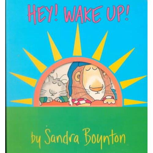 Hey! Wake Up! de SANDRA BOYNTON