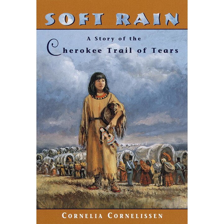 Soft Rain de Cornelia Cornelissen