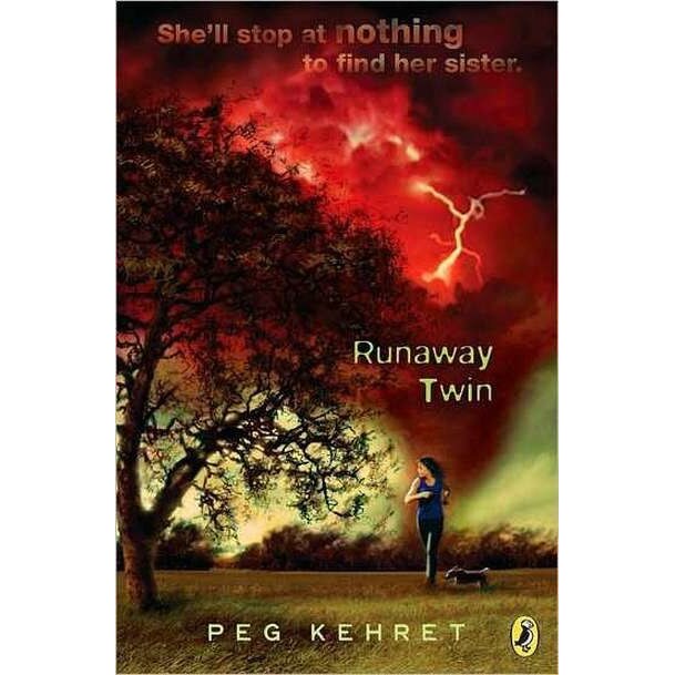 Runaway Twin de Peg Kehret