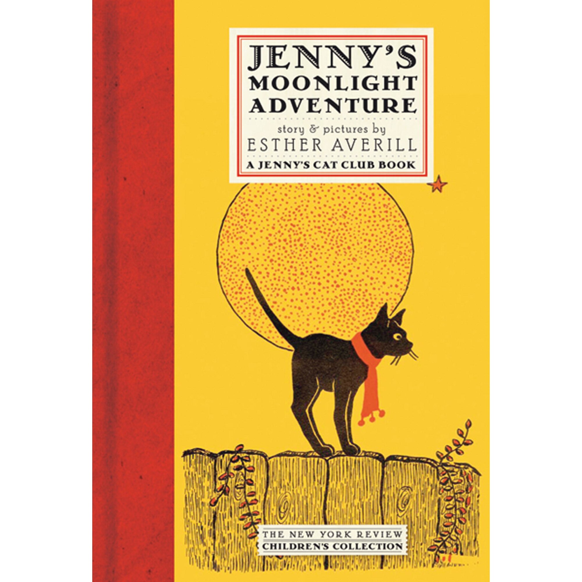 Jenny's Moonlight Adventure de Esther Averill