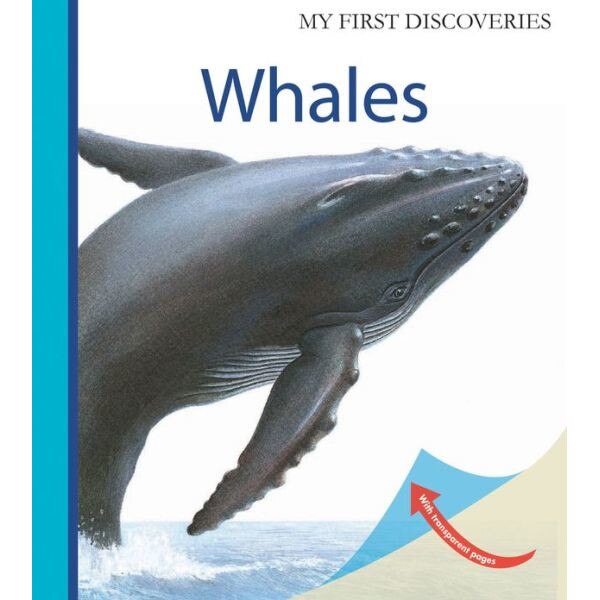 Whales de Ute Fuhr
