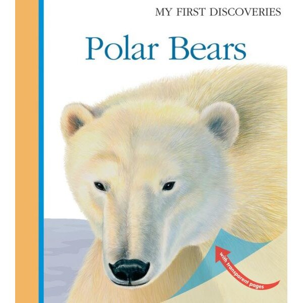Polar Bears de Laura Bour