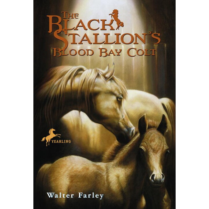 The Black Stallion's Blood Bay Colt de Walter Farley