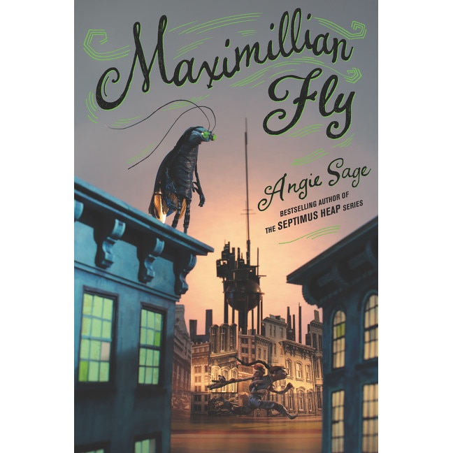 Maximillian Fly de Angie Sage