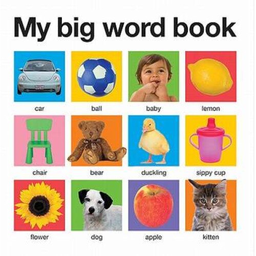 My Big Word Book de Priddy Books
