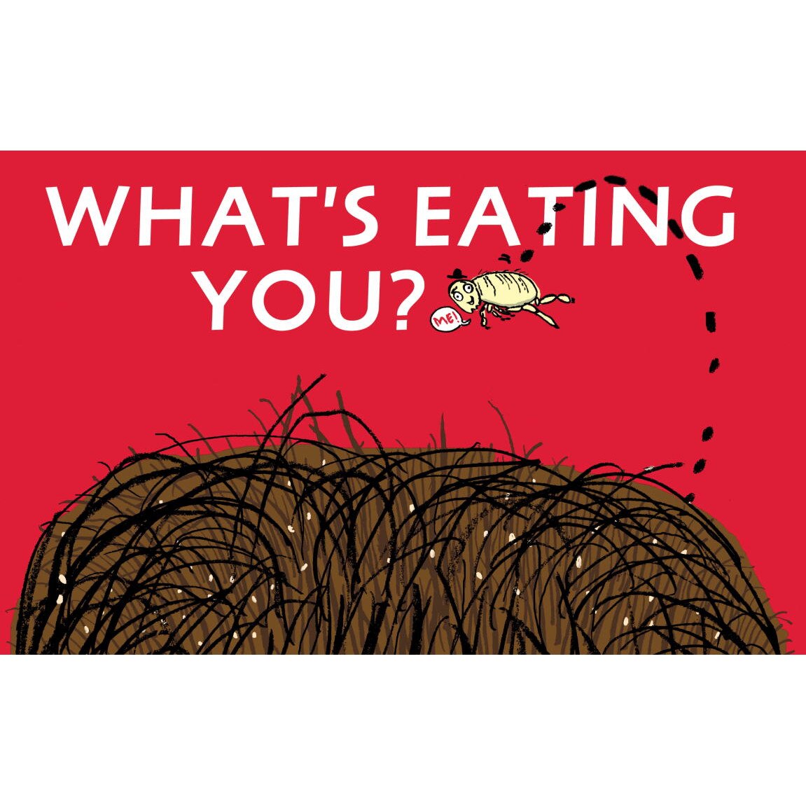What's Eating You? de Nicola Davies