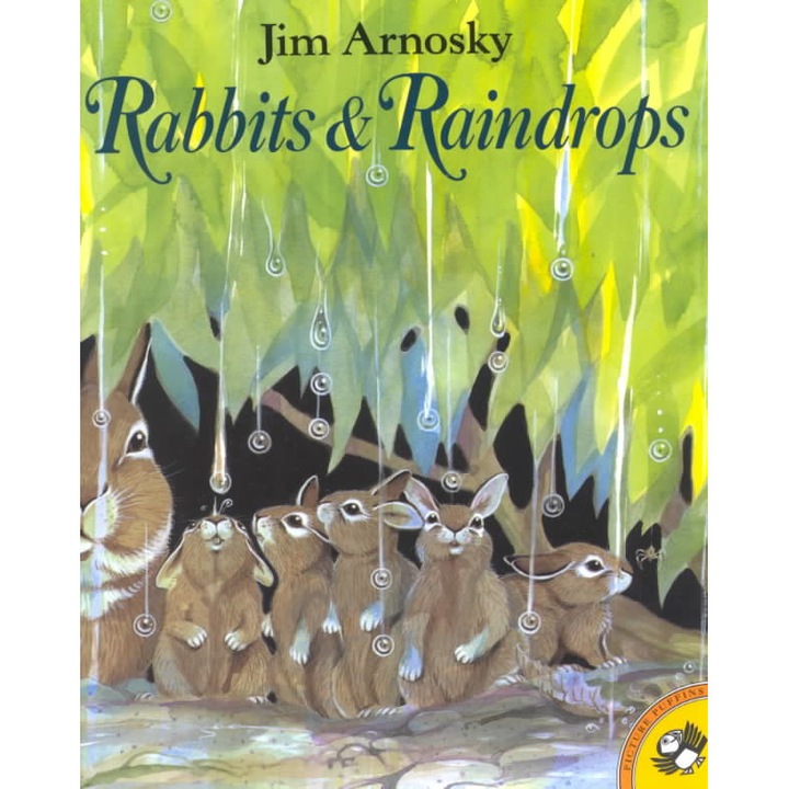 Rabbits and Raindrops de Jim Arnosky