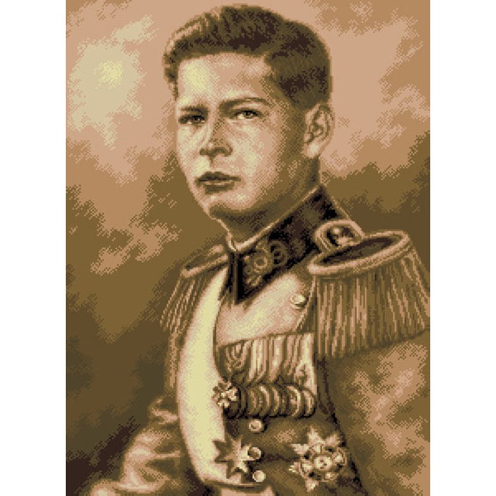 Goblen Regele Mihai (sepia) - kit goblen cu panza imprimata, Rogoblen