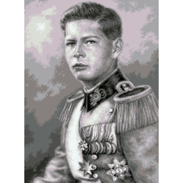 Goblen Regele Mihai (gri) - kit goblen cu panza imprimata, Rogoblen