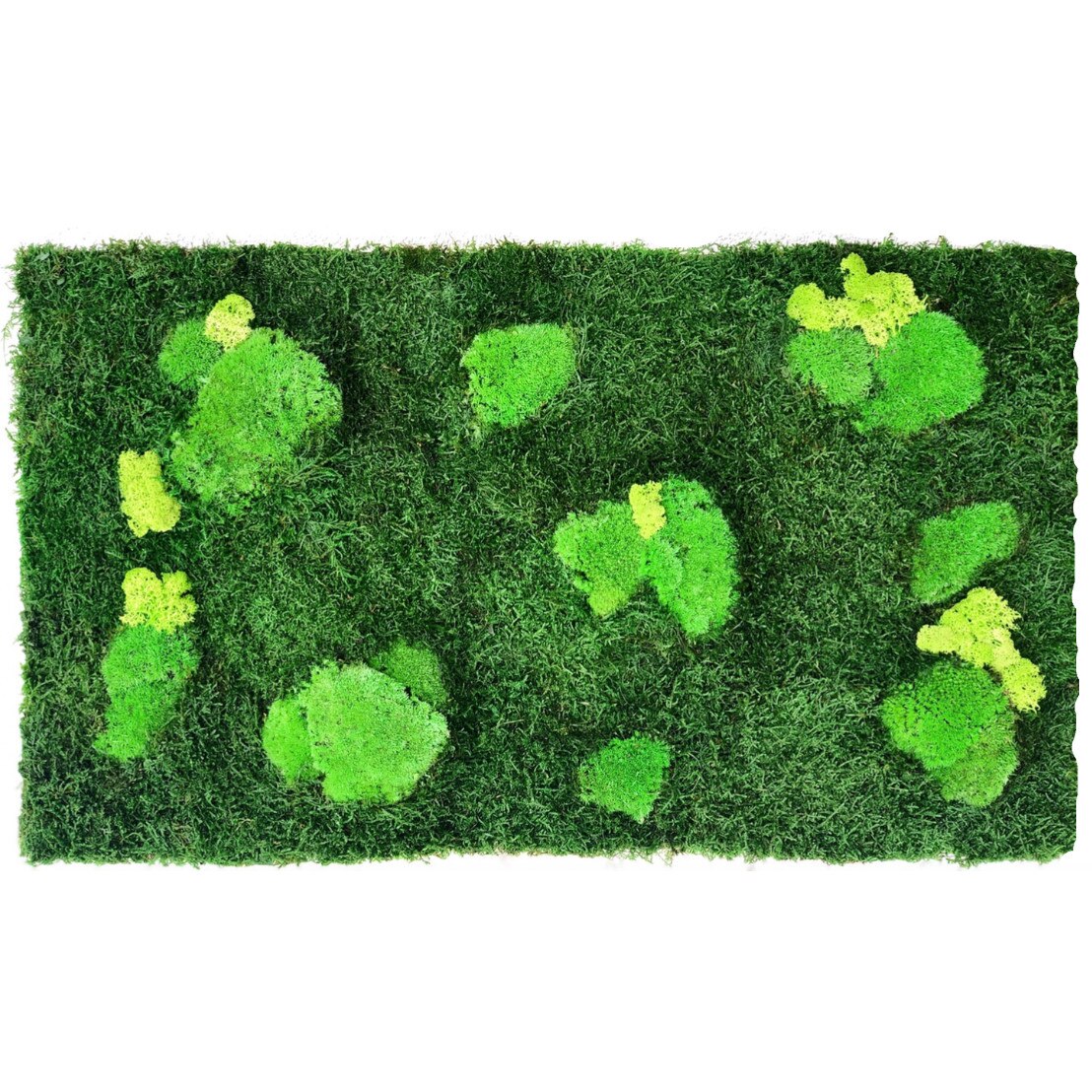 Tablou 110 x 60 cm cu muschi si licheni naturali stabilizati