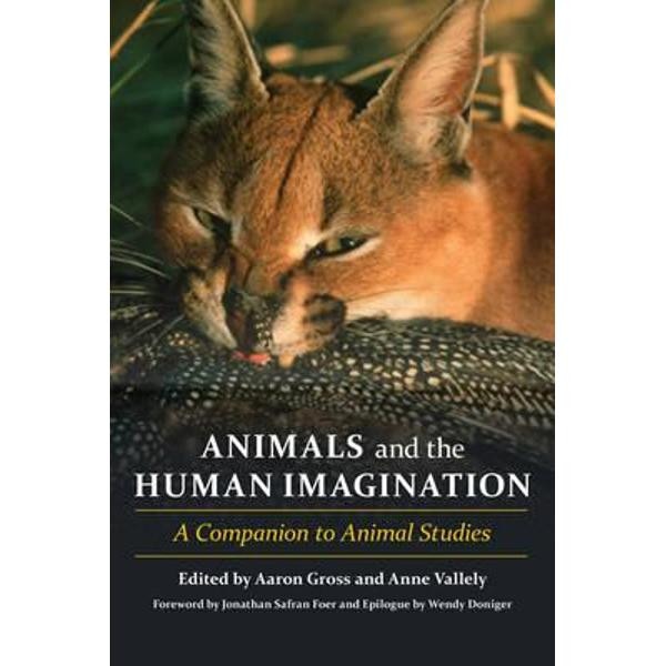 Animals and the Human Imagination