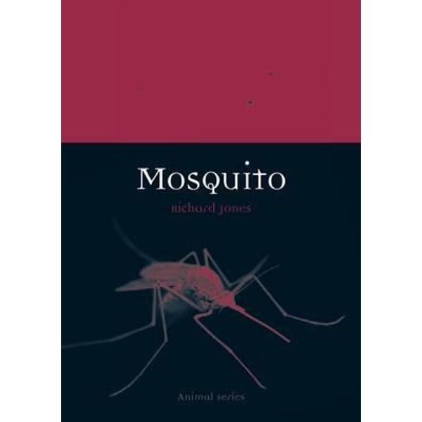 Mosquito