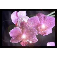 Tablou LED, 2 x AA, lumina calda, "Orhidee"