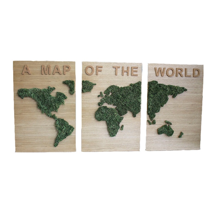 3D Art Картина от скандинавски мъх A Map Of The World, Размери на рамка: 3бр ширина 40 см, височина 58см
