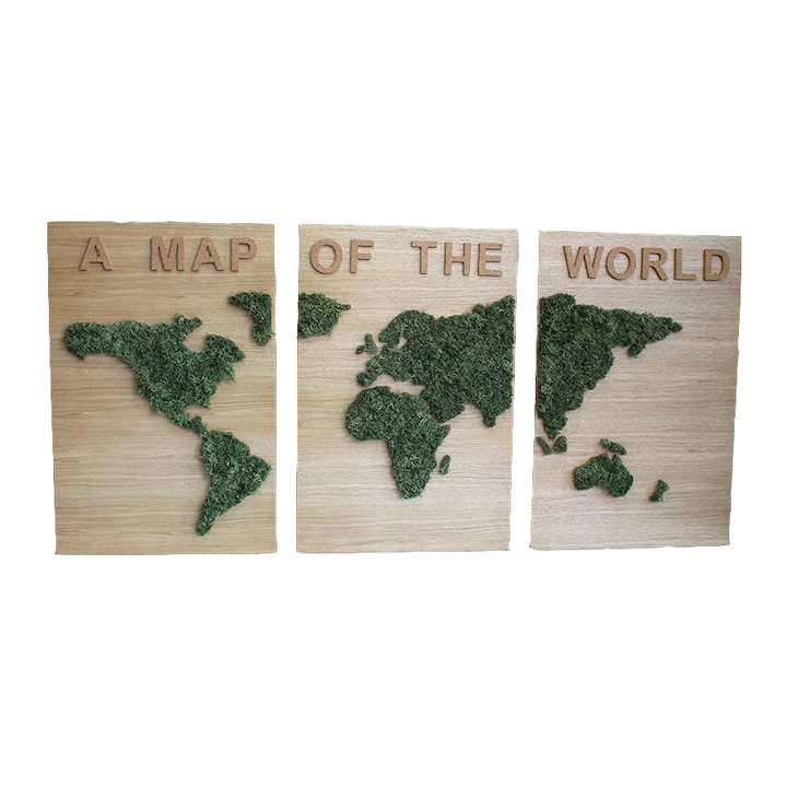 3D Art Картина от скандинавски мъх "A Map Of The World", Размери на рамка: 3бр ширина 40 см, височина 58см