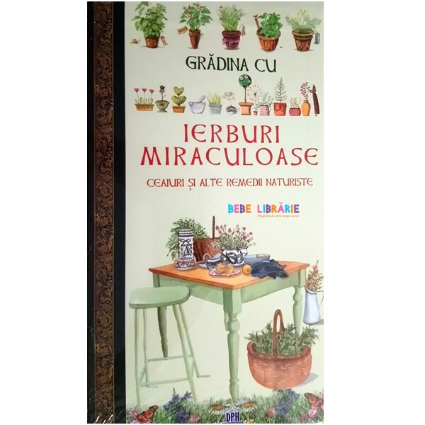 Gradina Mea Cu Ierburi, Ilustrații: Laura Zanetti