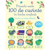 primele 100 de cuvinte in limba engleza carte cu autocolante imagen 57_0_
0