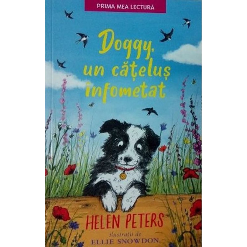 Doggy, Un Catelus Infometat. Helen Peters