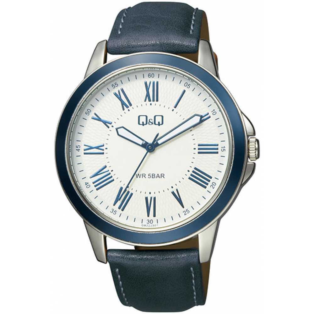 Ceas barbatesc Q&Q QB22J317Y