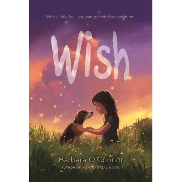 Wish de Barbara O'Connor
