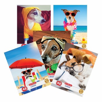 Set 10 caiete Herlitz Cool Dog A5, Dictando, 48 File Set 10 caiete Herlitz Cool Dog A5, Dictando, 48 File