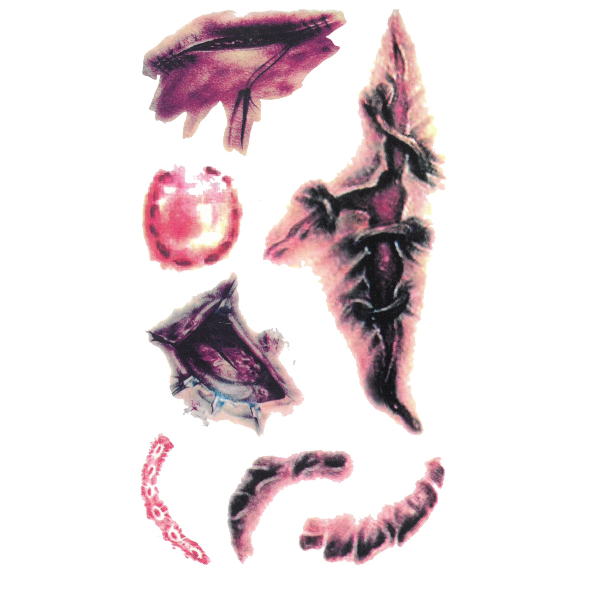 Tatuaj temporar leziuni 17x10cm