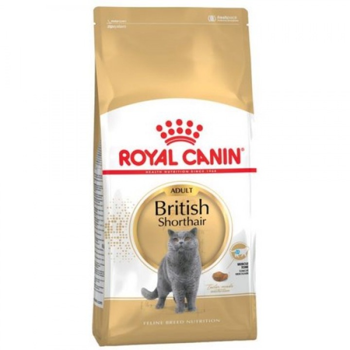 Hrana uscata pentru pisica, Royal Canin, British Shorthair, peste 1 an,10 kg