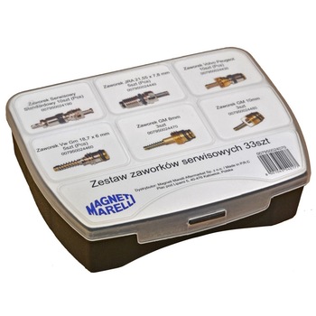 Set 33 valve supape service aer conditionat auto Magneti Marelli Set 33 valve supape service aer conditionat auto Magneti Marelli