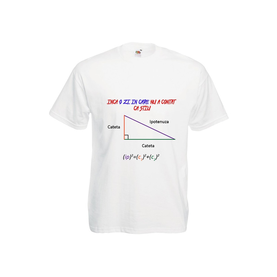 Tricou barbat personalizat TEOREMA LUI PITAGORA alb S