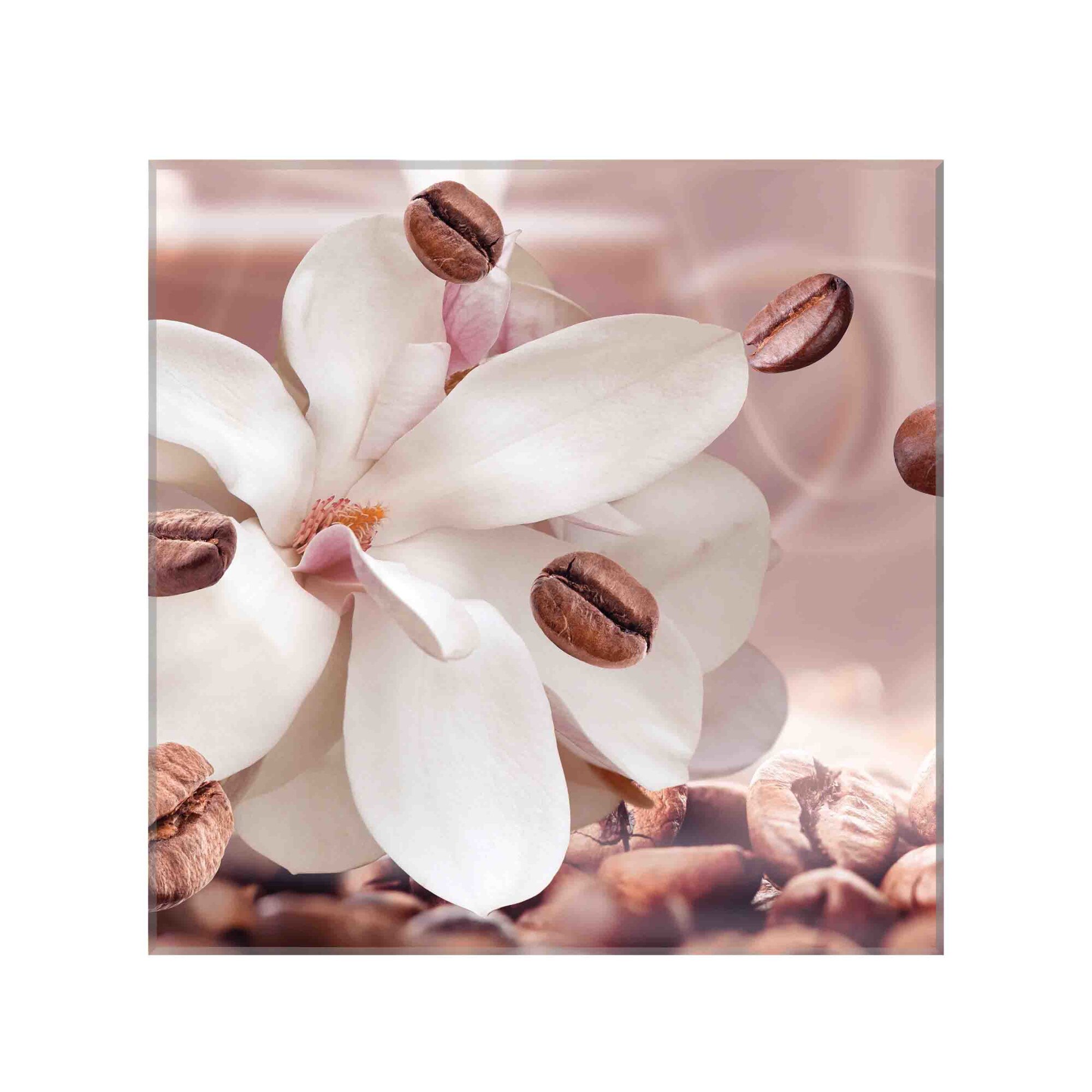 Sticla bucatarie securizata Saint Gobain Glass®, imprimata 65x60cm, protectie antistropire pentru aragaz, Ambra Deco, Cafea cu Flori