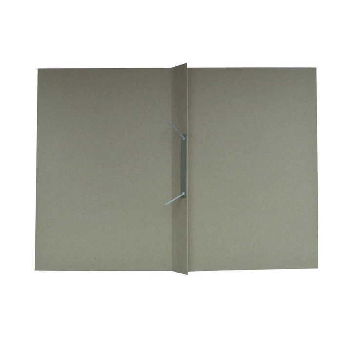 Dosar din carton cu sina, standard, 10 buc/set