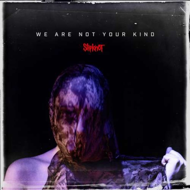 Slipknot-We Are Not Your Kind-2LP