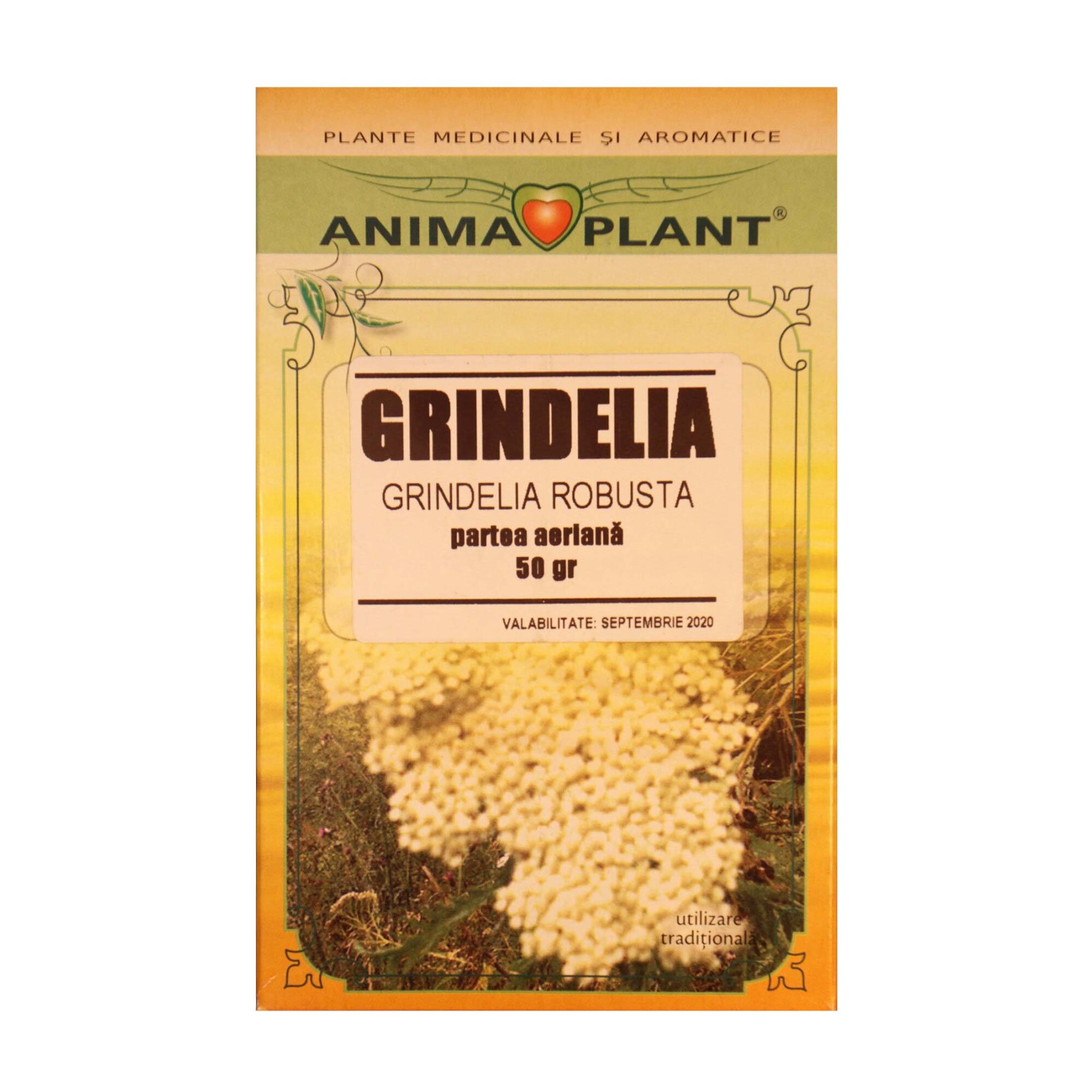 Grindelia, Grindelia robusta, parte aeriana, planta pentru ceai, Anima Plant, 50 g