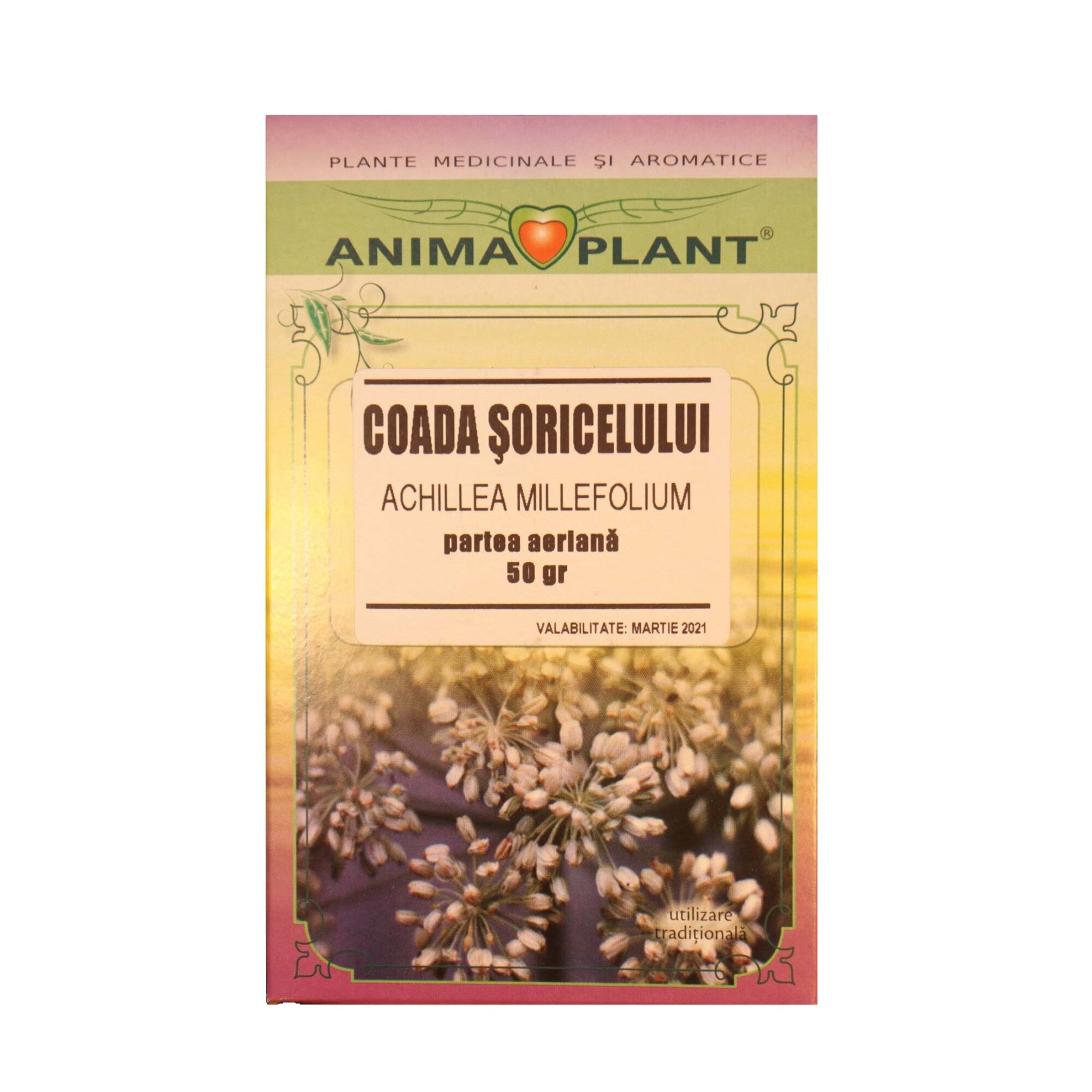 Coada soricelului,Achillea milefolium, partea aeriana,planta maruntita, pentru ceai,50g