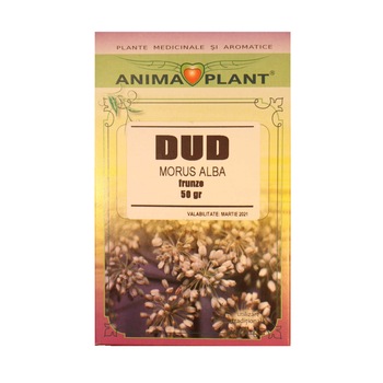 Dud, Morus alba, frunze, planta pentru ceai, Anima Plant, 50 g Dud, Morus alba, frunze, planta pentru ceai, Anima Plant, 50 g
