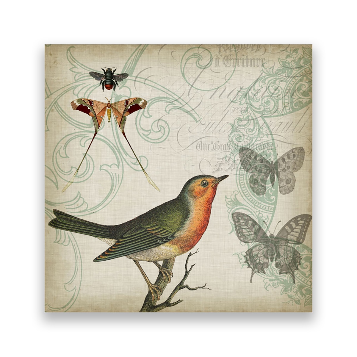 Tablou Canvas - Vintage, Pasare, Fluturi, 100 x 100 cm