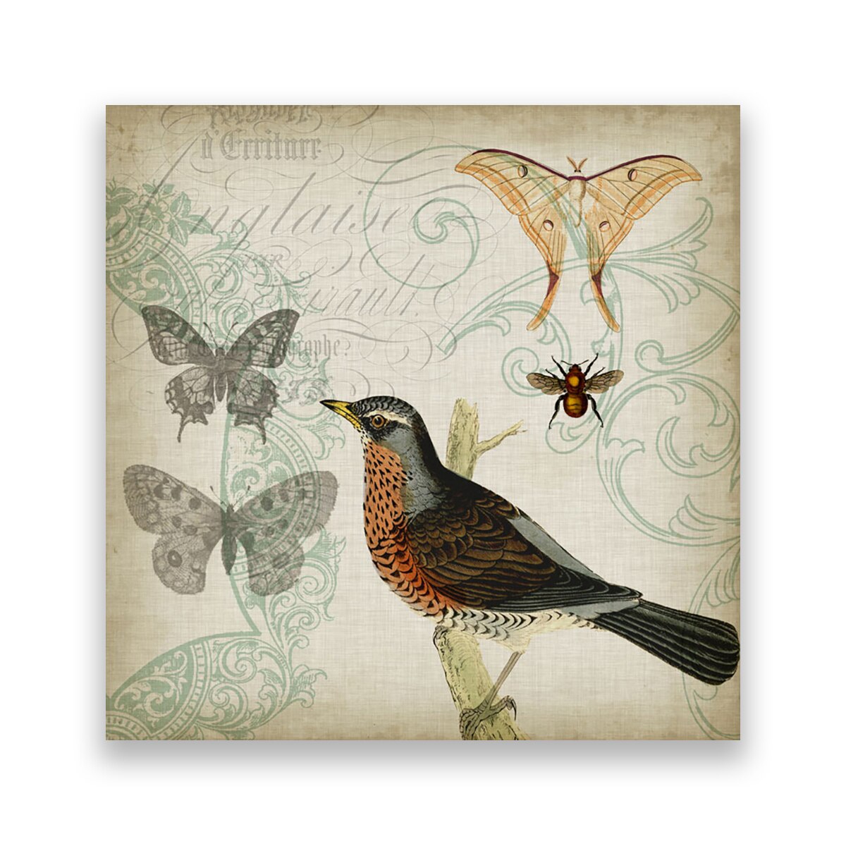 Tablou Canvas - Vintage, Pasari, Fluturi, 100 x 100 cm