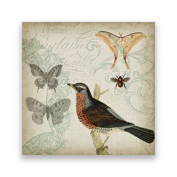 Tablou Canvas - Vintage, Pasari, Fluturi, 100 x 100 cm Tablou Canvas - Vintage, Pasari, Fluturi, 100 x 100 cm