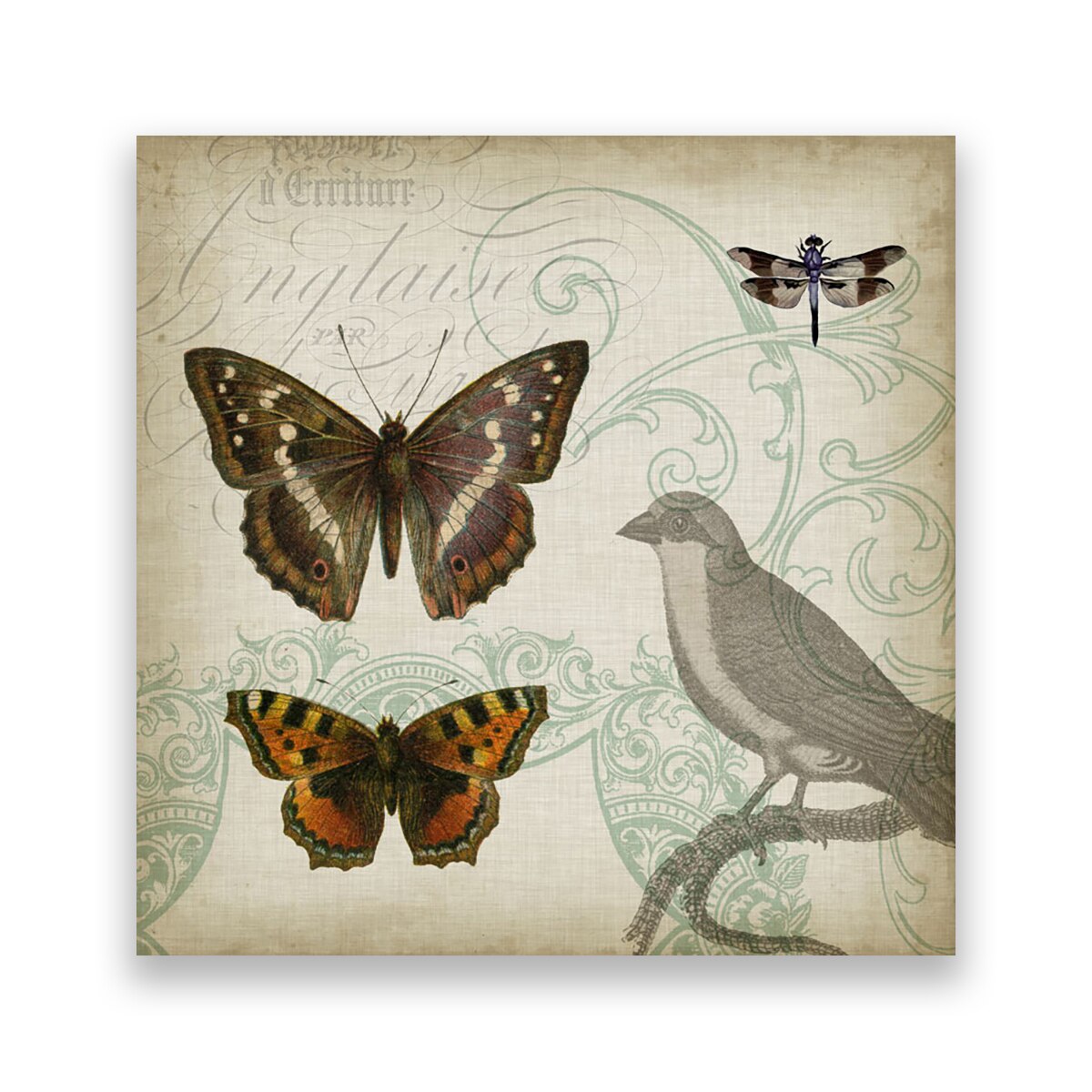 Tablou Canvas - Vintage, Pasari, Fluturi, Libelula, 100 x 100 cm