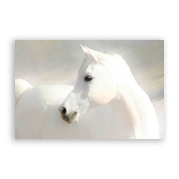 Tablou Canvas - Cal, Alb, Animal, 80 x 120 cm Tablou Canvas - Cal, Alb, Animal, 80 x 120 cm