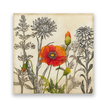 Tablou Canvas - Mac Rosu, Papadii, Floral, 80 x 80 cm Tablou Canvas - Mac Rosu, Papadii, Floral, 80 x 80 cm