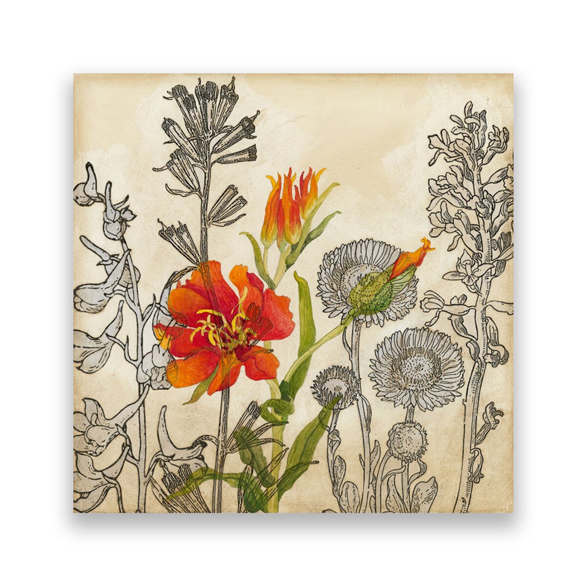 Tablou Canvas - Mac Rosu, Papadii, Crin, Floral,100 x 100 cm