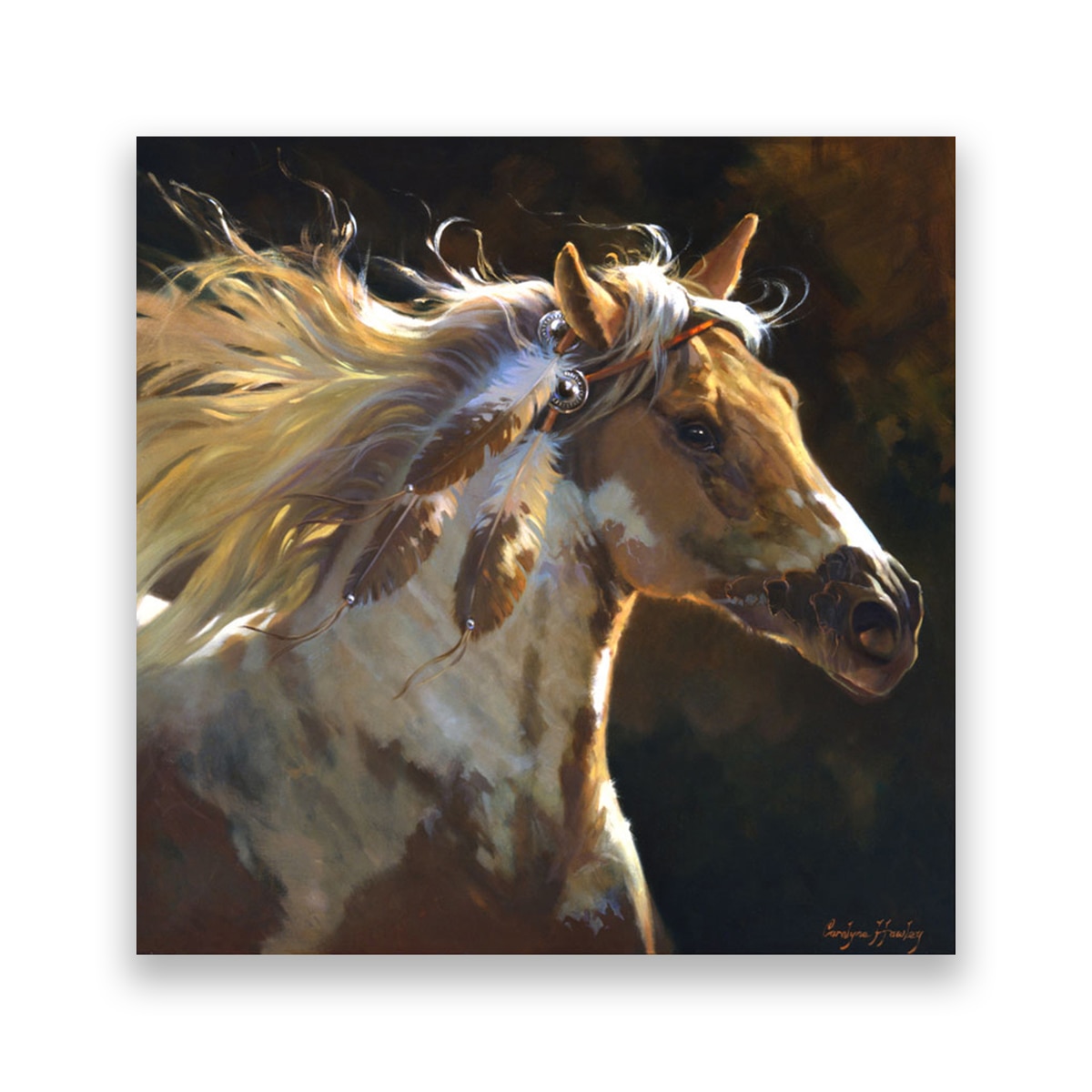 Tablou Canvas - Animal, Cal, Indian, Salbatic, Pana, 100 x 100 cm