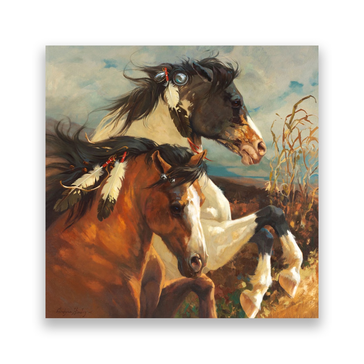 Tablou Canvas - Animal, Cai, Indian, Salbatic, Pana, 100 x 100 cm