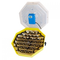 incubator electric pentru oua cleo 5 dth cu dispozitiv intoarcere termometru termohigrometru imagen 11_0_
0
